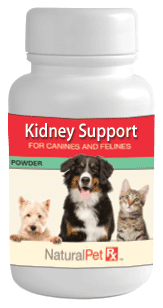 Kidney Support - 50 grams powder